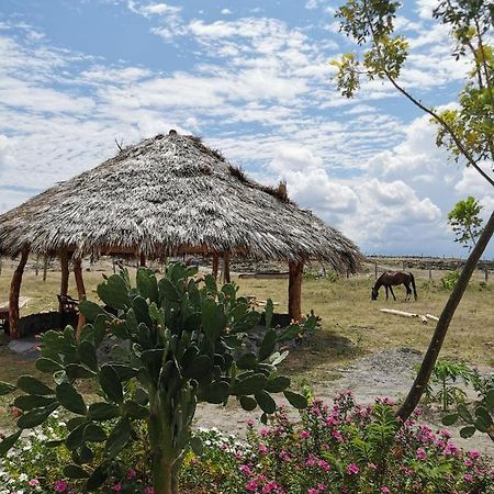 Pachingo Tatacoa Desert La Victoria  Ngoại thất bức ảnh