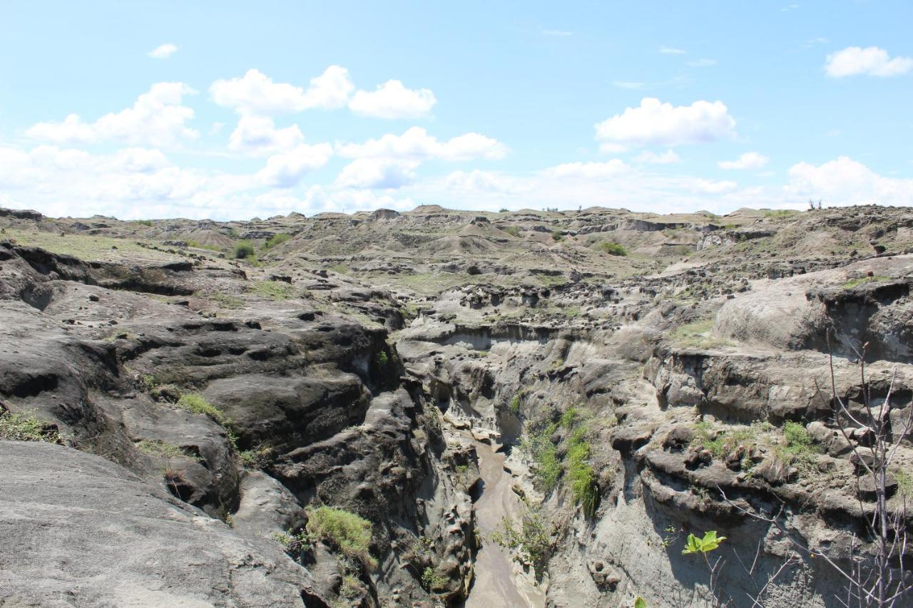 Pachingo Tatacoa Desert La Victoria  Ngoại thất bức ảnh