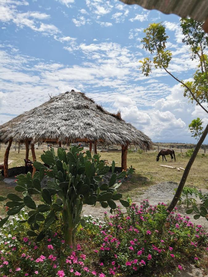 Pachingo Tatacoa Desert La Victoria  Ngoại thất bức ảnh